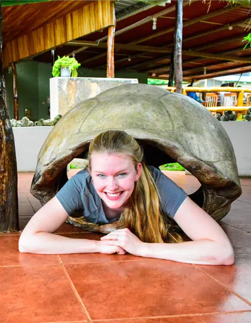 galapagos-island-giant-tortoise