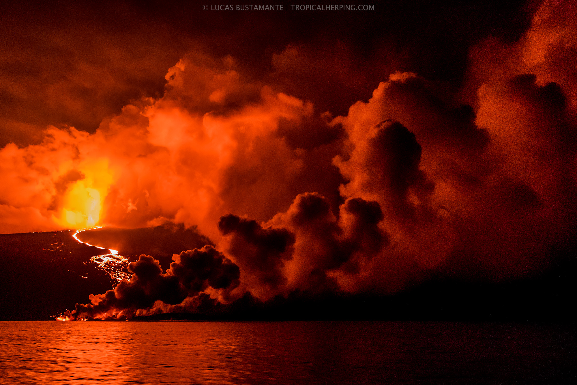 Eruption of the Wolf Volcano  Isabela, Galapagos National Park, Ecuador  May, 2015